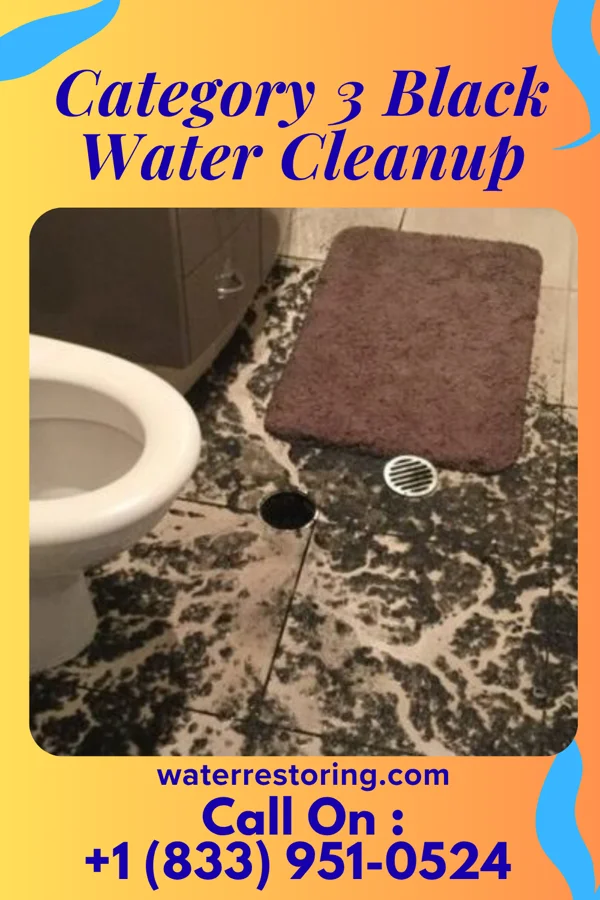 Category 3 Black Water Cleanup in Butler, IN
