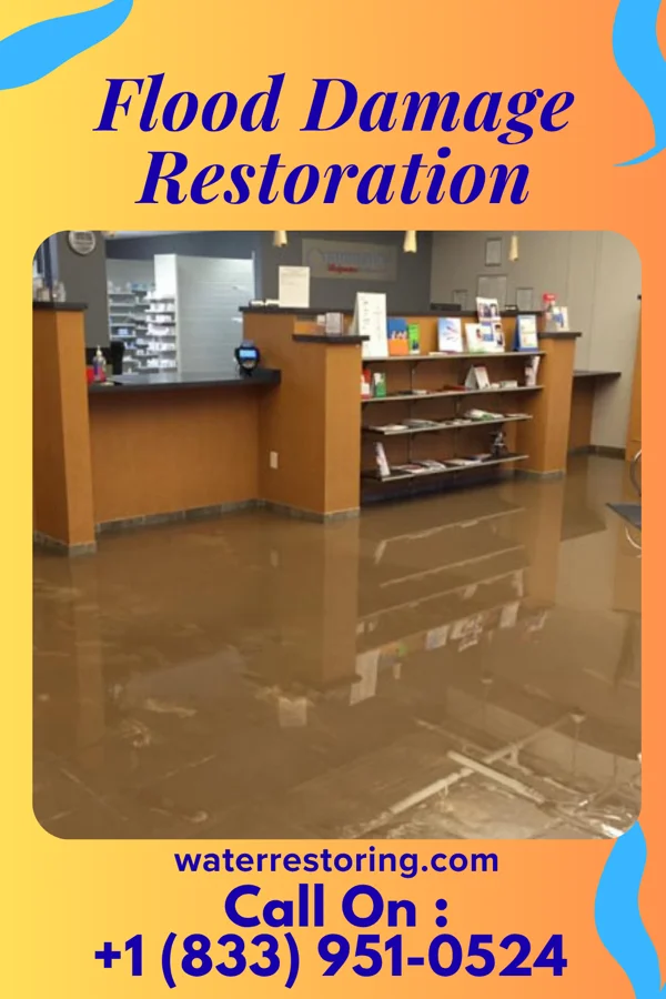 Flood Damage Restoration in Butler, IN