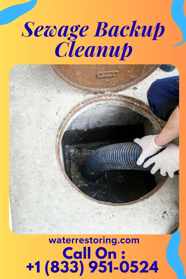 Sewage Backup Cleanup in Butler, IN